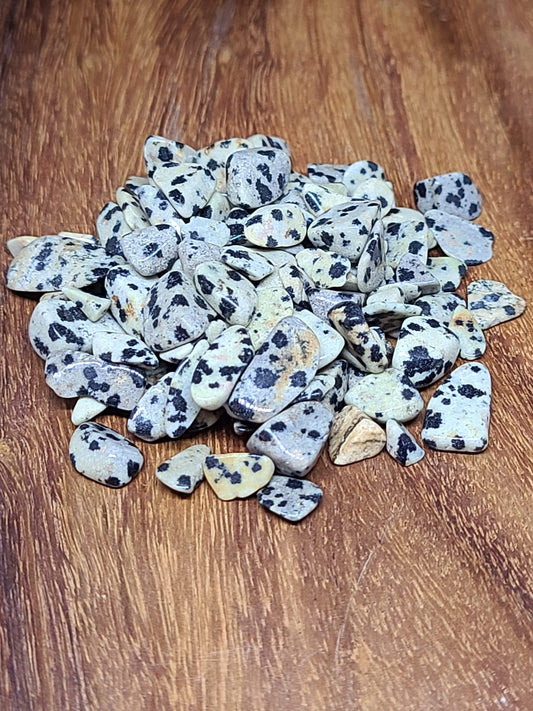 Dalmatian Jasper