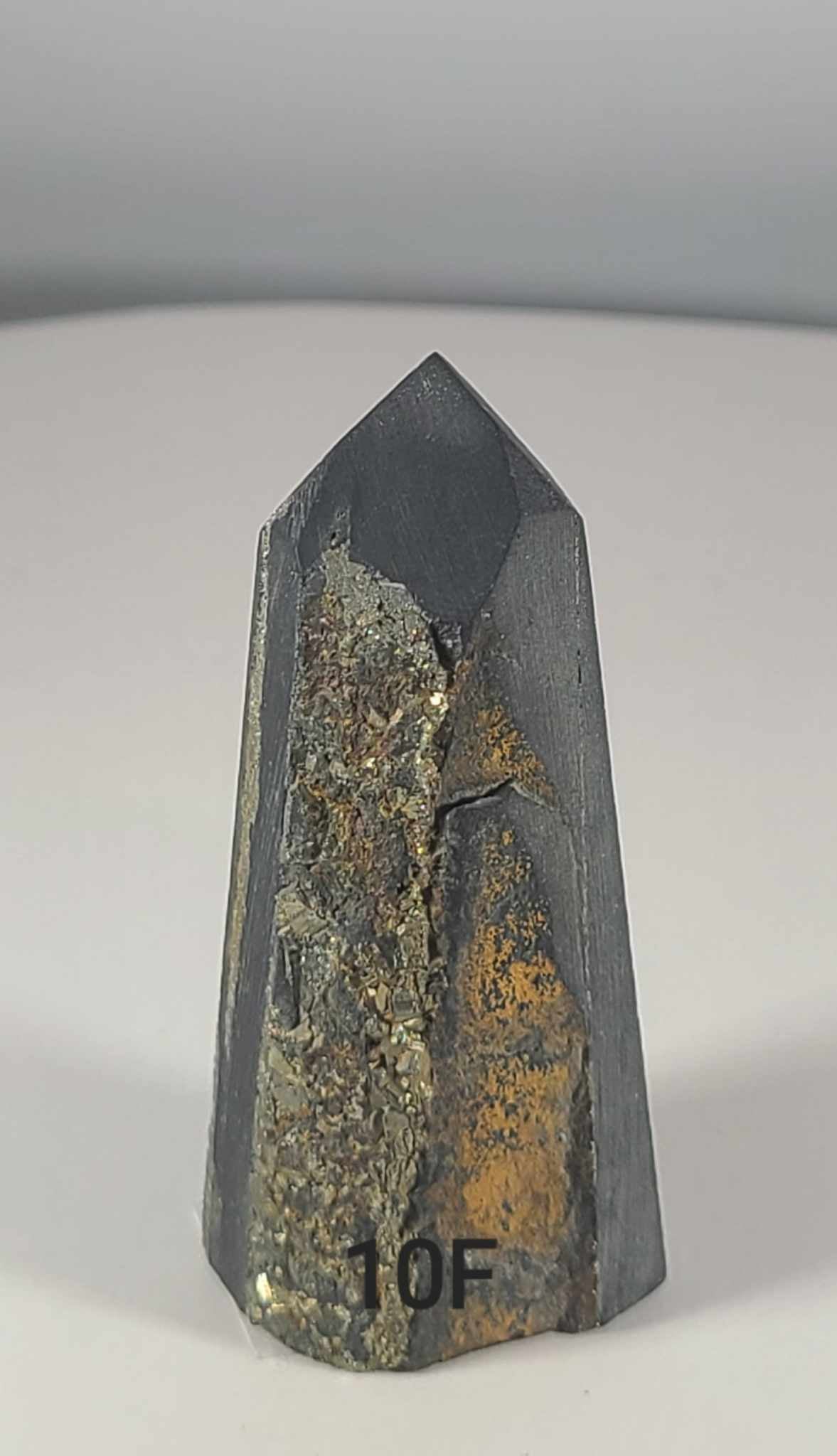 Pyrite in Shungite Tower 10F